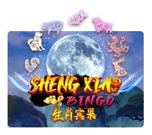 Sheng Xiao Bingo - MEGABET808