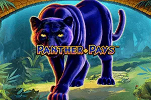 Panther Pays - MEGABET808