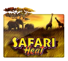 Joker123 : Safari Heat - MEGABET808
