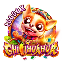 Facai : CHILIHUAHUA - MEGABET808