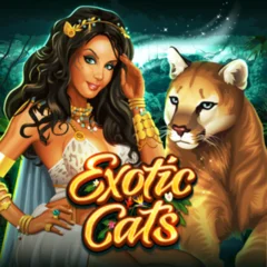 Exotic Cats - MEGABET808