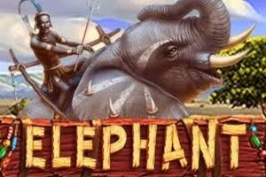 PLAYSTAR : ELEPHANT - MEGABET808
