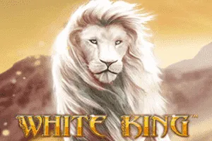White King - MEGABET808
