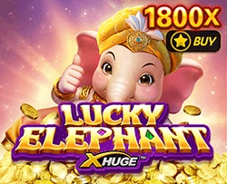 Lucky Elephant X-Huge - MEGABET808