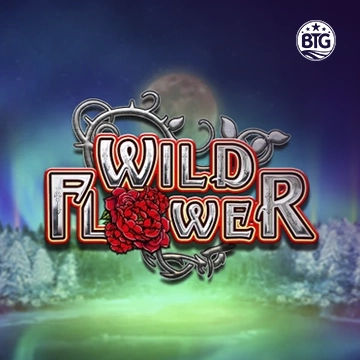 Bigtime : Wild Flower - MEGABET808