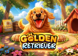 Pragmatic : Golden Retriever - MEGABET808