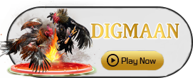 Digman - MEGABET808