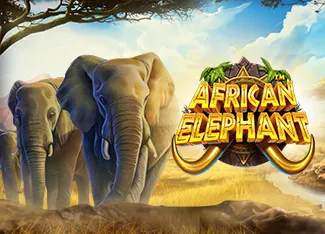 Pragmatic : African Elephant - MEGABET808